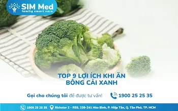 top-9-tac-dung-cua-bong-cai-xanh-cho-suc-khoe-va-sac-voc