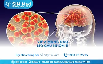 viem-mang-nao-mo-cau-nhom-b-trieu-chung-nguyen-nhan-phong-ngua